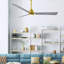 Ventilateur de plafond Alessandra-466741302-466741303-415991768