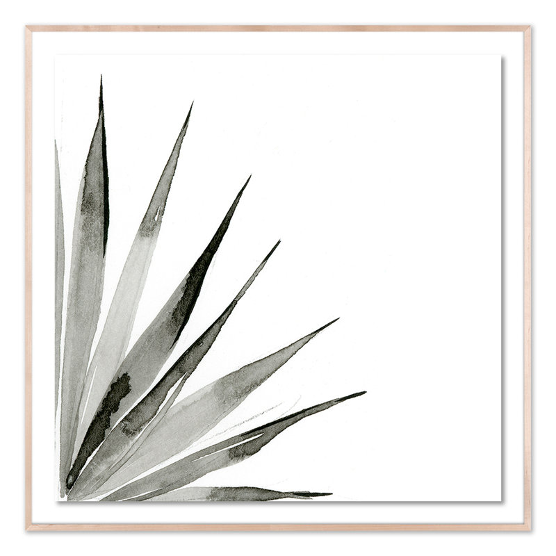 Agave II Print by Jess Engle, Natural, 40" H x 40" W x 2.5" D
