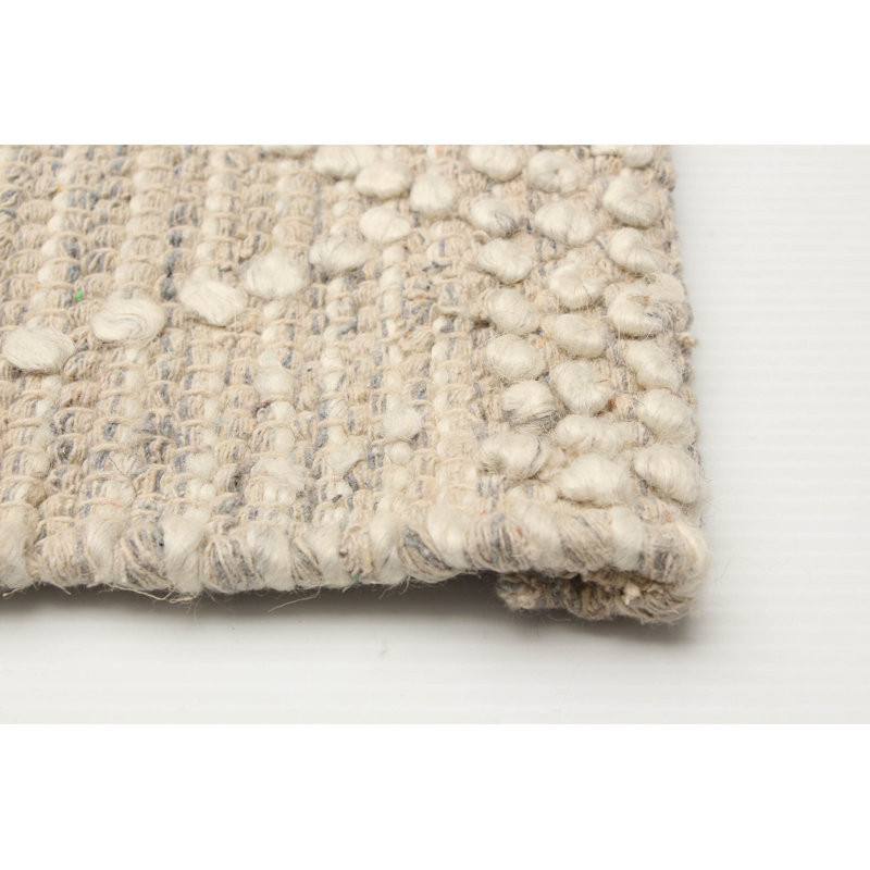 Demosthenes Performance Hand Braided Wool Rug