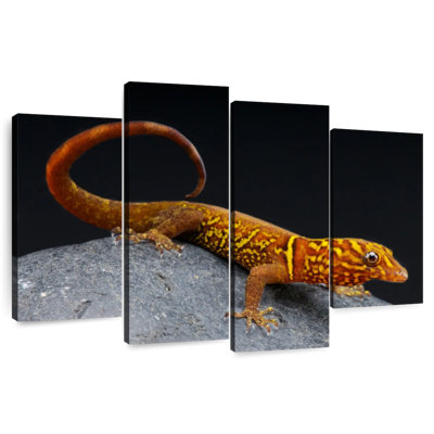 Brampt Gecko