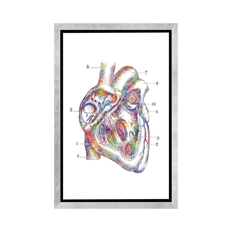 " Heart Cross Section " by Genefy Art, 60" H x 40" W x 1.5" D, Silver Frame
