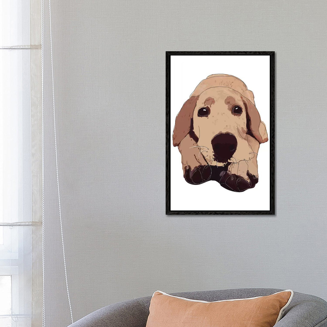 Goldener Labrador