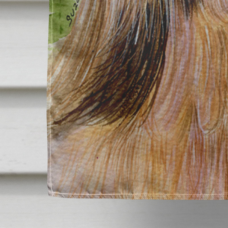 Double Sided 40'' H x 28'' W Polyester Animal House Flag