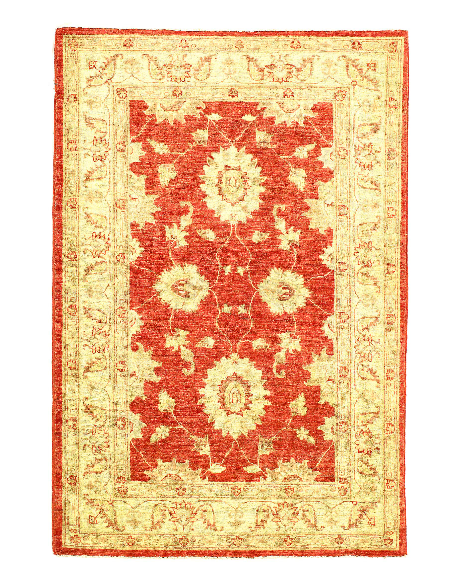 Cream And Rust Pattern Rug Pasargad NY Farahan Hand-Knotted Wool Cream/Rust Area Rug | Perigold