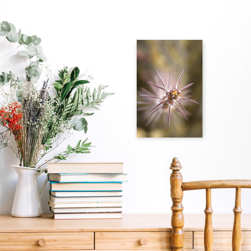 Cactus Spines Detail by Green Earth Collection - Wrapped Canvas Print, 45.72 cm H x 30.48 cm W