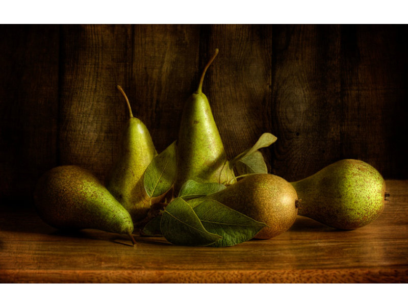 Wrapped Canvas Print, 76.2 cm H x 50.8 cm W