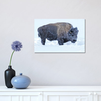 Snow Bison by Brian Wolf - Wrapped Canvas Print