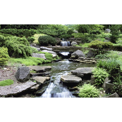 Landscape & Nature Non-Wall Damaging Window Decal