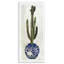 Cactus dans un vase orné de plantes bleues-71019850-71019849