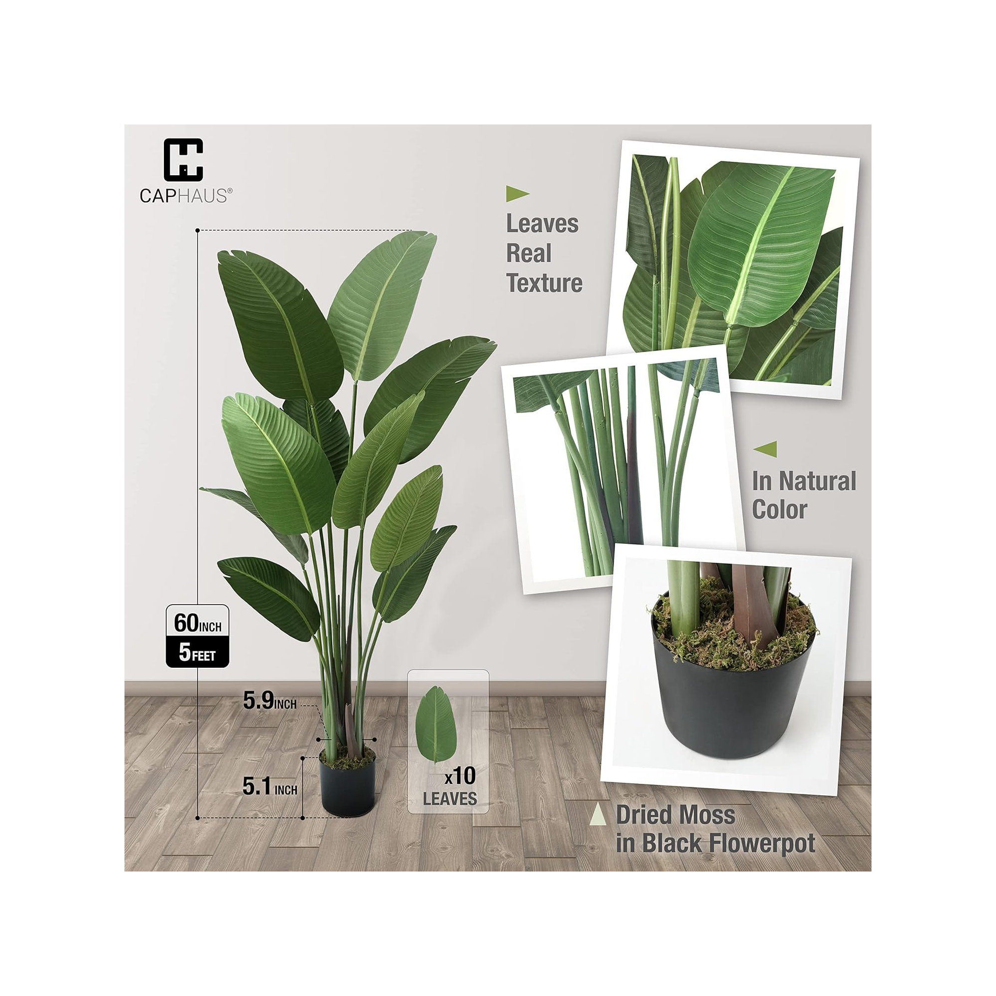 Birch Lane™ Artificial Bird of Paradise in Pot with Dried Moss, UV Resistant, 4 / 5 / 6 / 7 Feet, 60" H x 6.5" W x 6.5" D