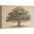 Toile tendue