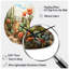 Horloge murale Coral-105566275