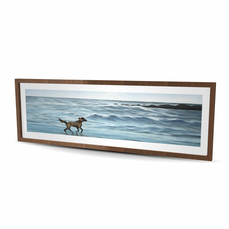 Chien sur la plage - bleu marine, Brun