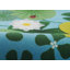 Tapis bleu Momeni-104294670