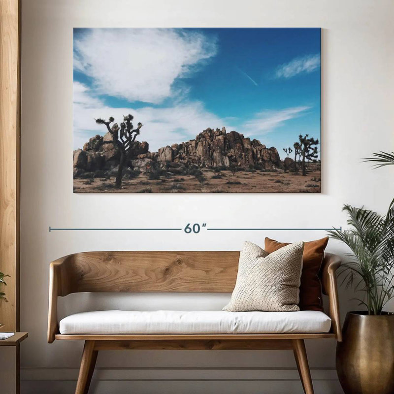 Nicci Joshua Tree Mastodon Peak, H 34 po x l 51 po