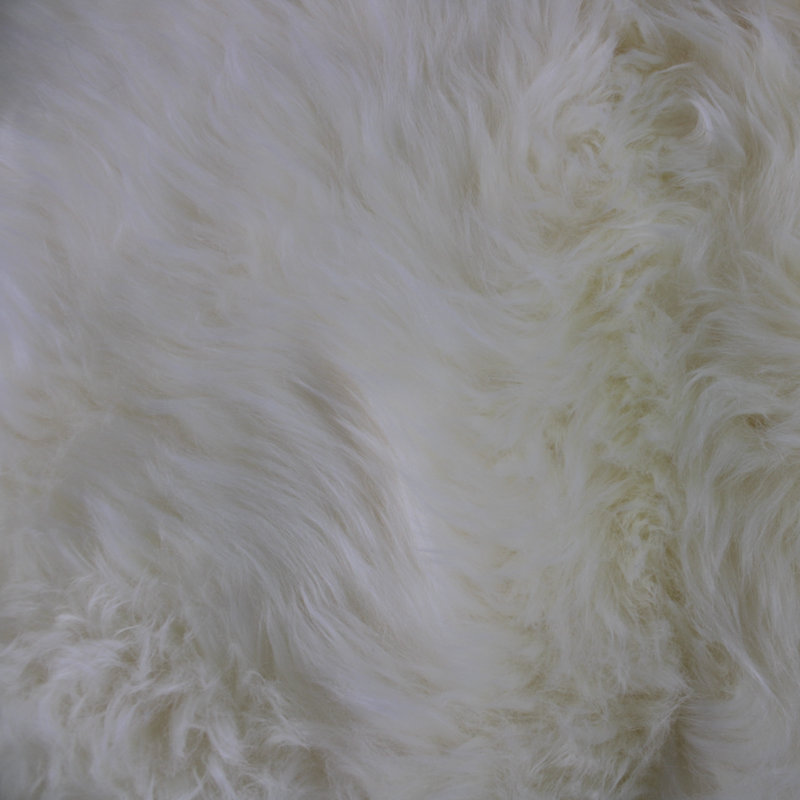 Adah Novelty 180 cm x 200 cm Sheepskin Area Rug