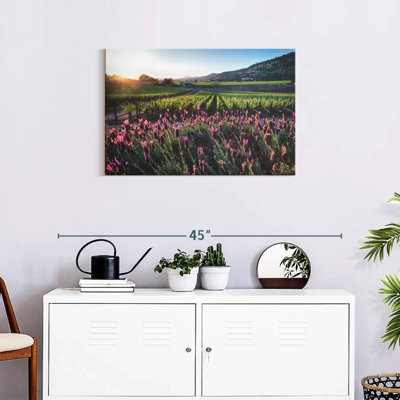 Alvord Napa Valley Grapevines And Flowers