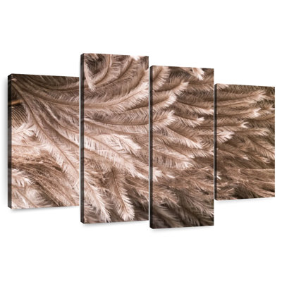 Brampt Ostrich Feathers