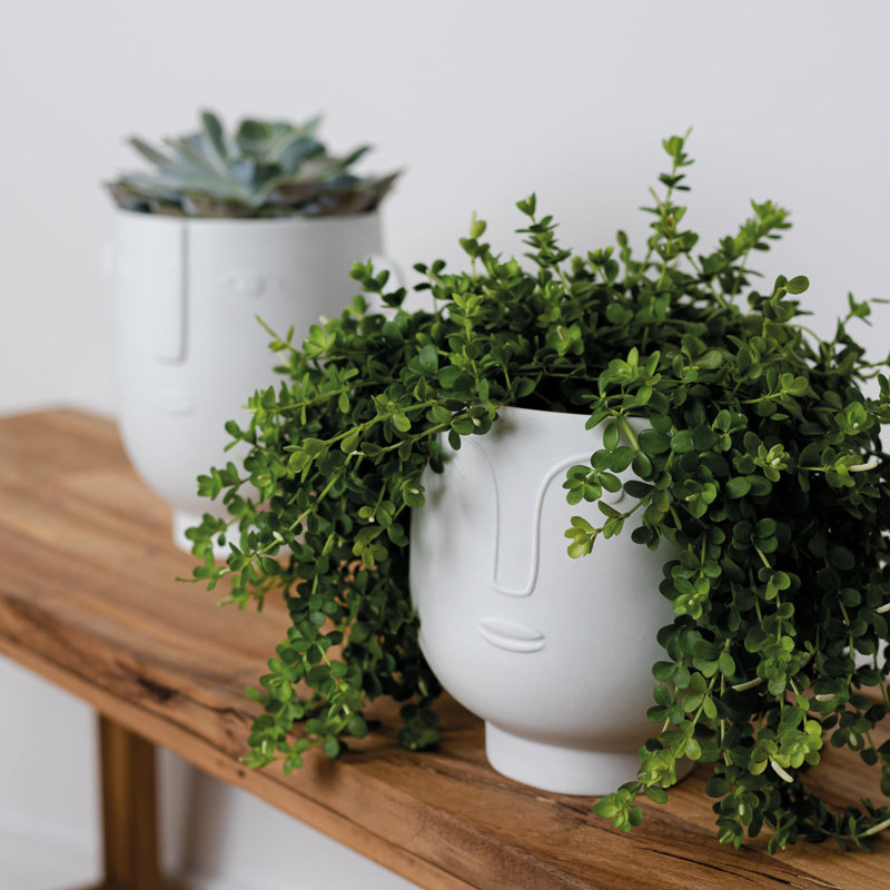Natural Forms Porcelain Pot Planter