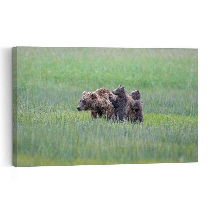 Bear Family In Meadow Abstract Contemporary Bear Nature Wildlife Wall Art Print by Jeffrey C. Sink - 1 Piece Wrapped Canvas Wall Art