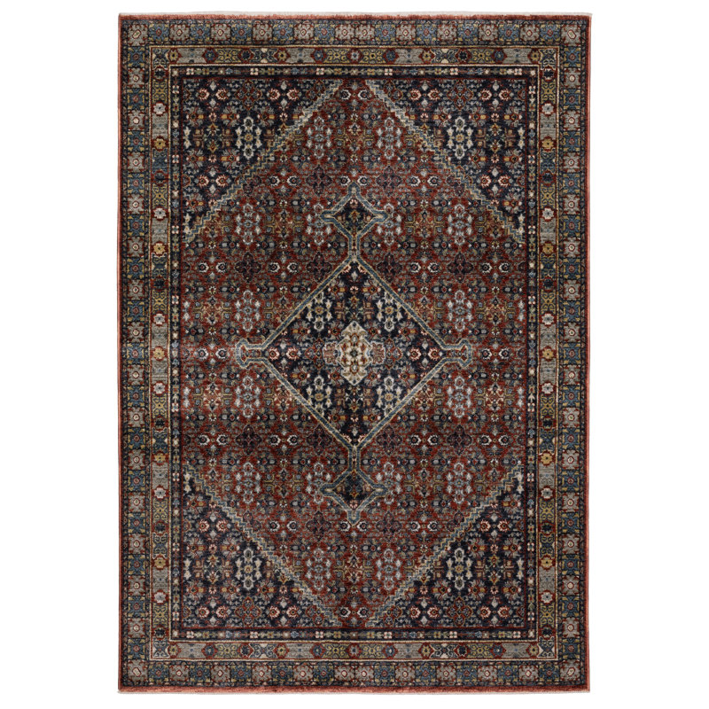 Tapis rouge / multicolore Caia Vintage Medallion, Rectangle 5 pi 3 po x 7 pi 9 po