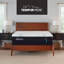 TEMPUR-Adapt® Medium 11" Mattress-832990815