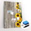 Magnetic Glass Dry Erase Board