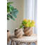 Pot décoratif décoratif sable et ciment brun avec motif tissé complexe-2132649554