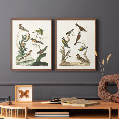 Oiseaux antiques dans la nature, impression encadrée de qualité supérieure - prête à être accrochée - aucun clou requis - aucun clou requis