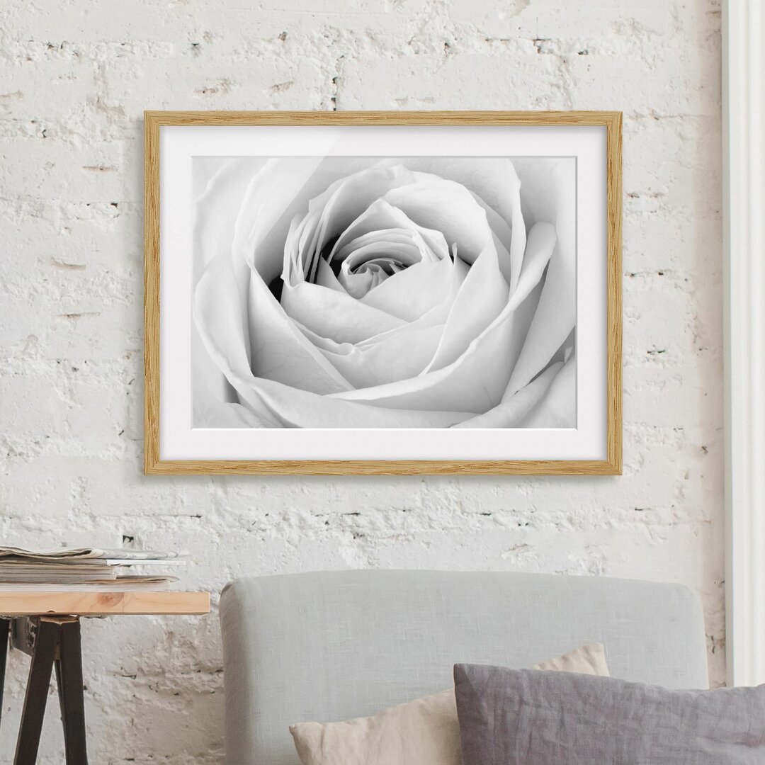 Gerahmtes Papierbild Nahaufnahme Rose