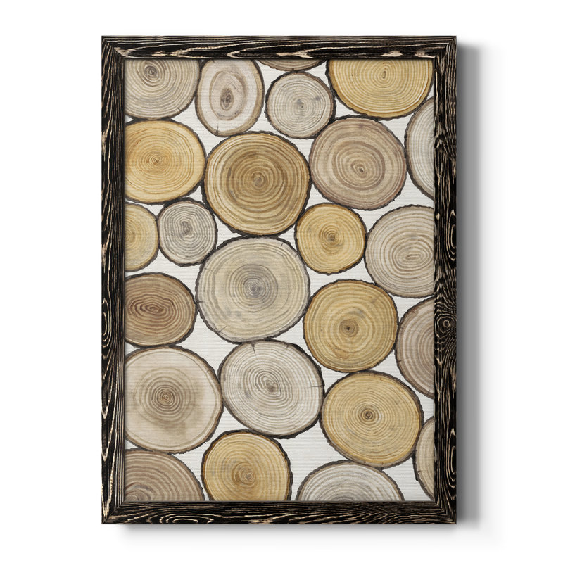 «Tree Ring Study I», toile encadrée de qualité supérieure - prête à être accrochée, H 20 po x l 24 po x P 1 po, Cadre noir