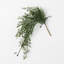 Quiller Draping Ruscus