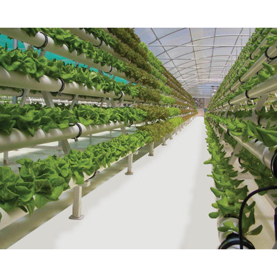 GrowFloor Greenhouse and Growroom Flooring