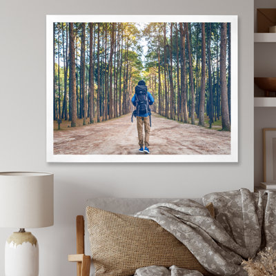 " Wilderness Forest Hike "