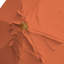 Parasol en bois de teck 11 pi-496429613