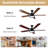 Ceiling Fan with LED Lights-337638974