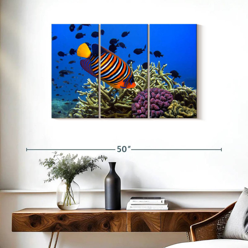 Brampt Royal Angelfish, 24" H x 38" W