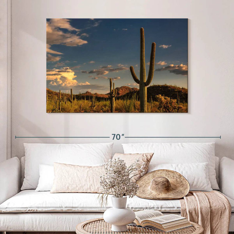 Cactus Harnek Tucson, H 32 po x l 48 po