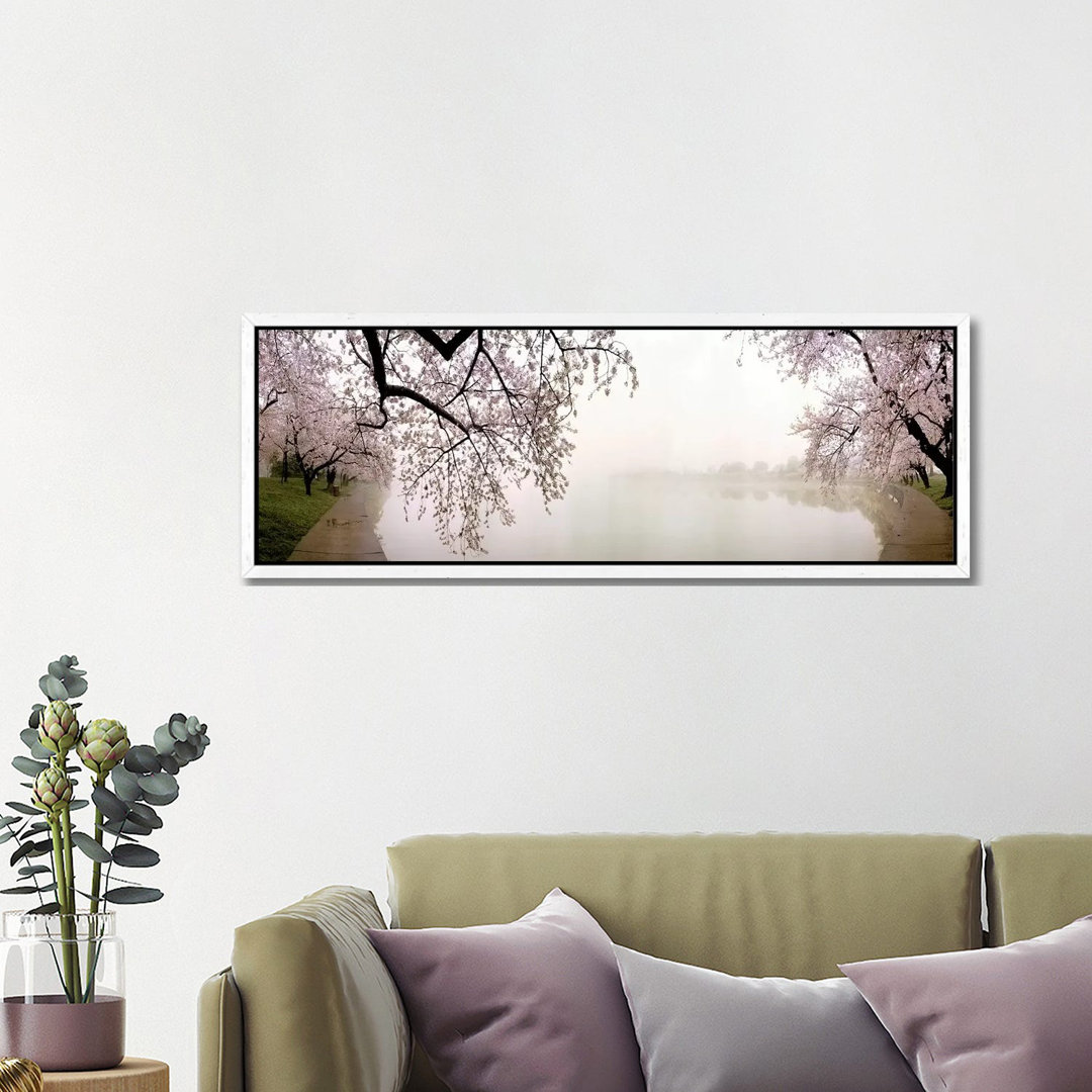 Cherry Blossoms At The LakesideWashington DC, USA von Panoramic Images - Floater Frame Panoramic Gallery-Wrapped Canvas ...