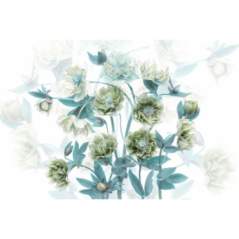 Wrapped Canvas Print, 50.8 cm H x 76.2 cm W