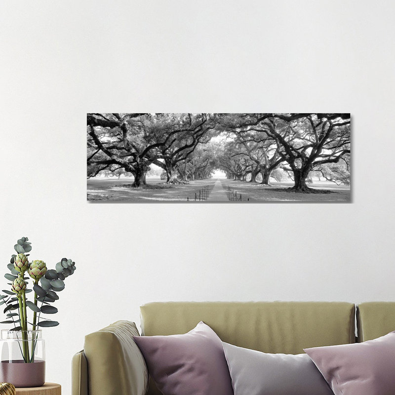 Brick Path Through Alley Of Oak Trees, Louisiana, New Orleans, USA - Wrapped Canvas Panoramic Print