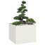 Planter 100X100Cm Steel-38147122-38147133