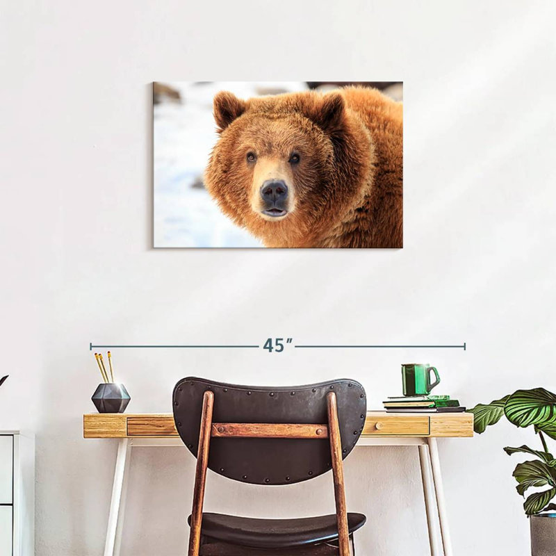 Grizzly Bear Stare, 20" H x 30" W