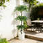 Ficus artificiel 6 pi, faux banian réaliste avec pot pour la maison, décor de patio de bureau, 1pc / ensemble
