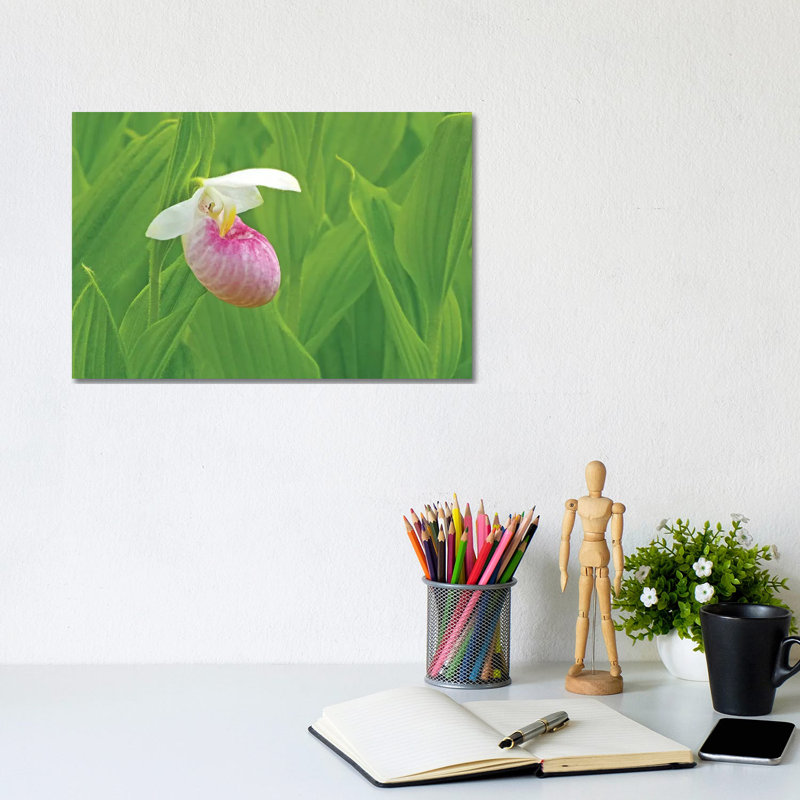 Single Lady Slipper by Brian Wolf - Wrapped Canvas Print, 20.32cm H x 30.48cm W x 1.91cm D