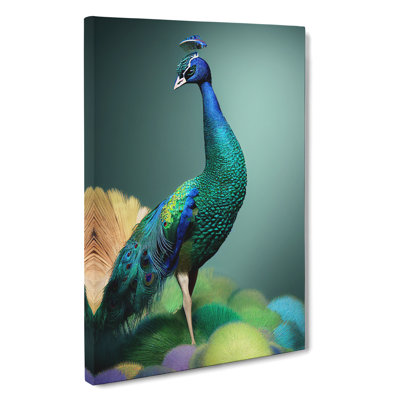 Amazing Peacock - Wrapped Canvas