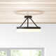 Danica Single Light Acrylic LED Semi Flush Mount