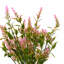 34 cm H Faux Plant-127680952
