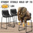 Parveena PU Leather Bar Stools With Back-1325406025-1326549736-1307983424