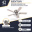 Ventilateur de plafond 42 po avec ensemble d'éclairage Renton-953916484
